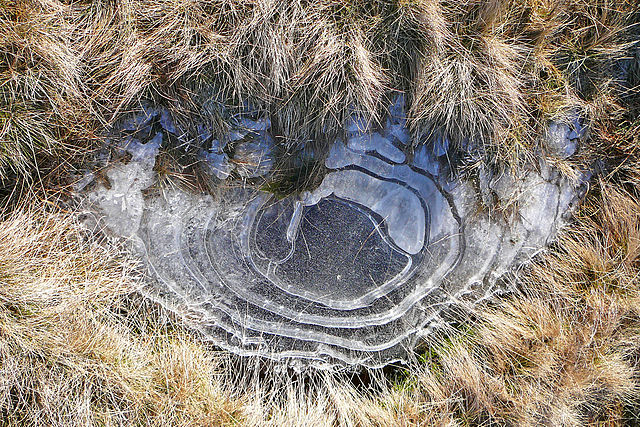 Tekijä: Tim Green from Bradford (Puddle-eye) [CC-BY-2.0], lähde: Wikimedia Commons