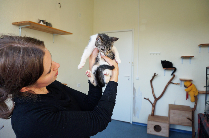 pienennettyvapaaehtosuus2