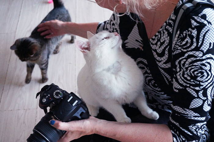 pienennettyvapaaehtosuus6