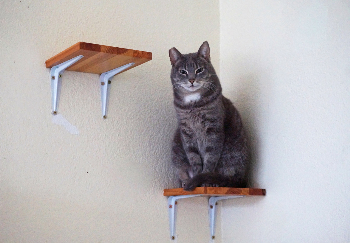 pienennettyvapaaehtosuus7