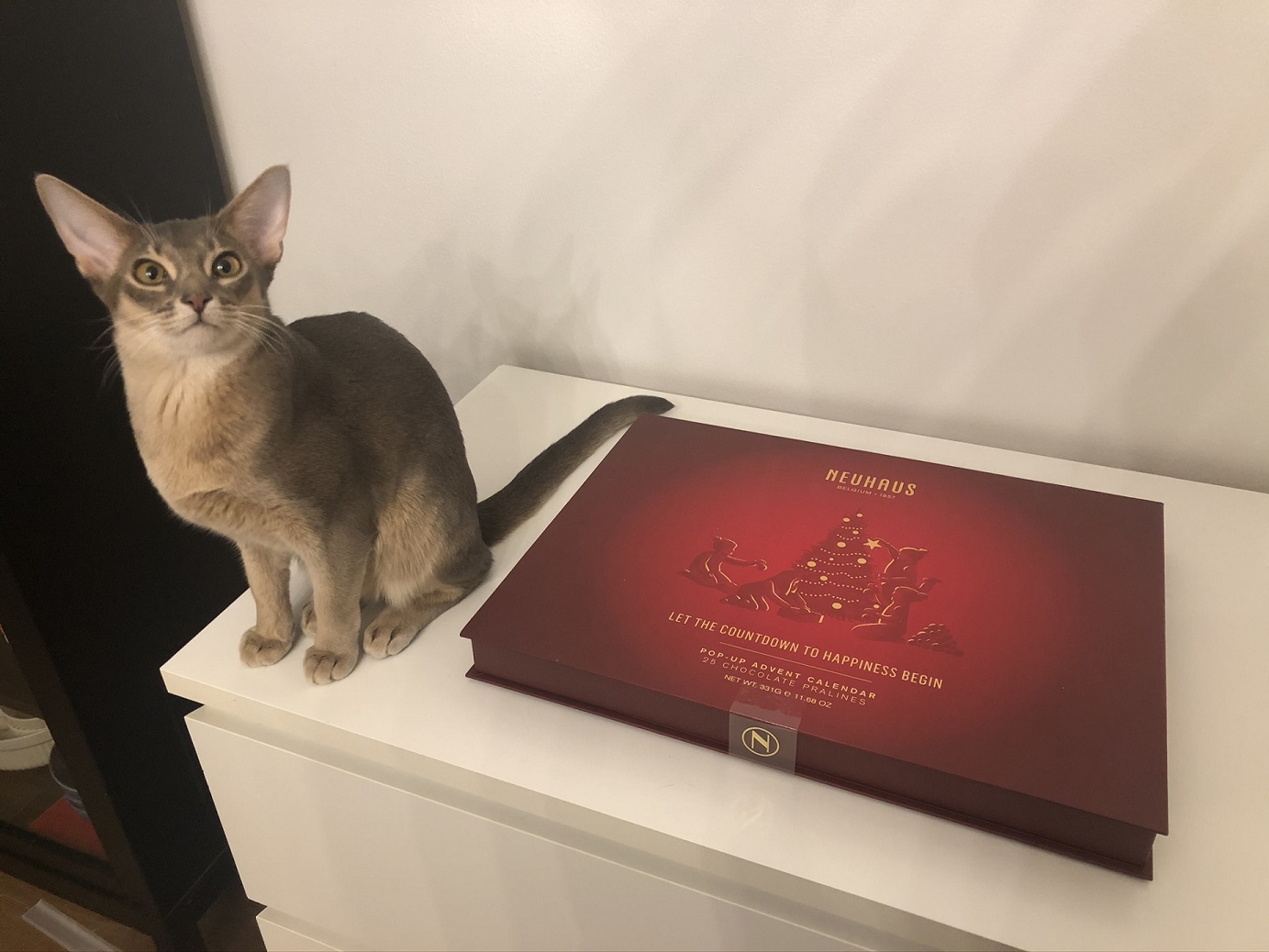 Luksusta joulunodotukseen