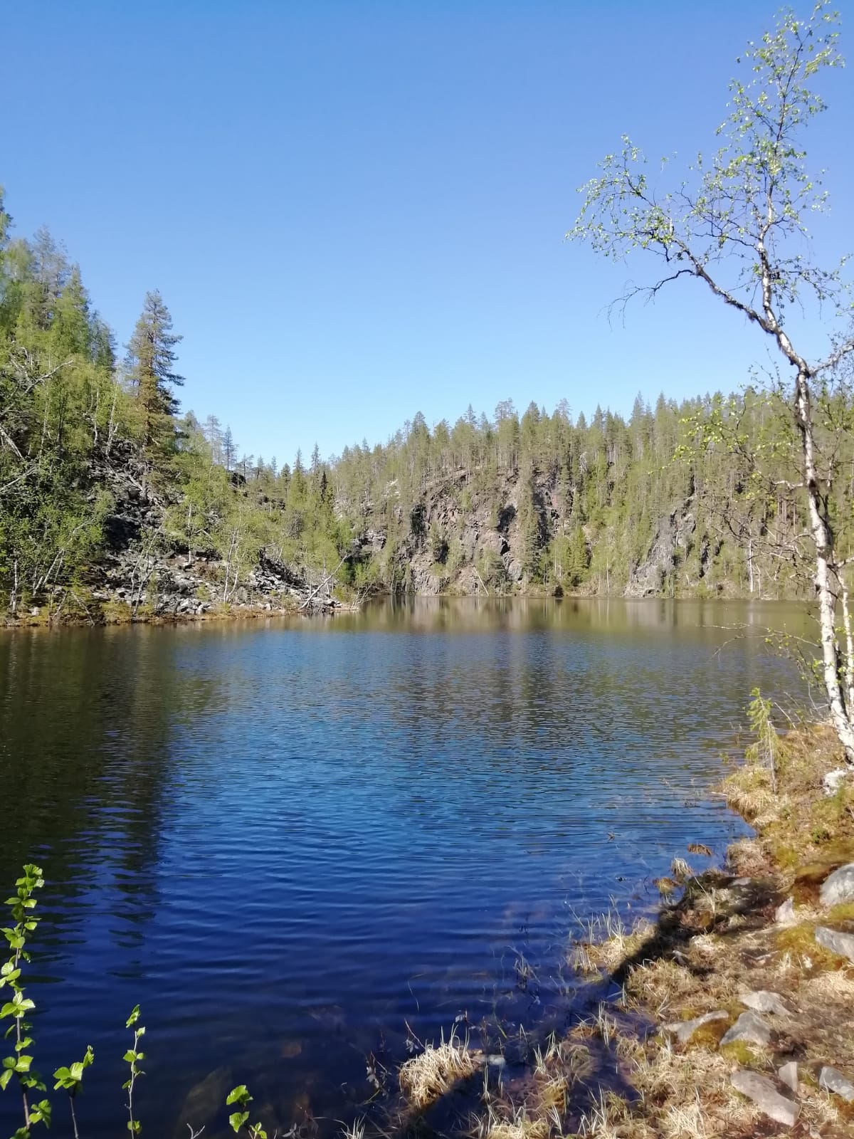 Nörttityttö matkalla ultramaratonille